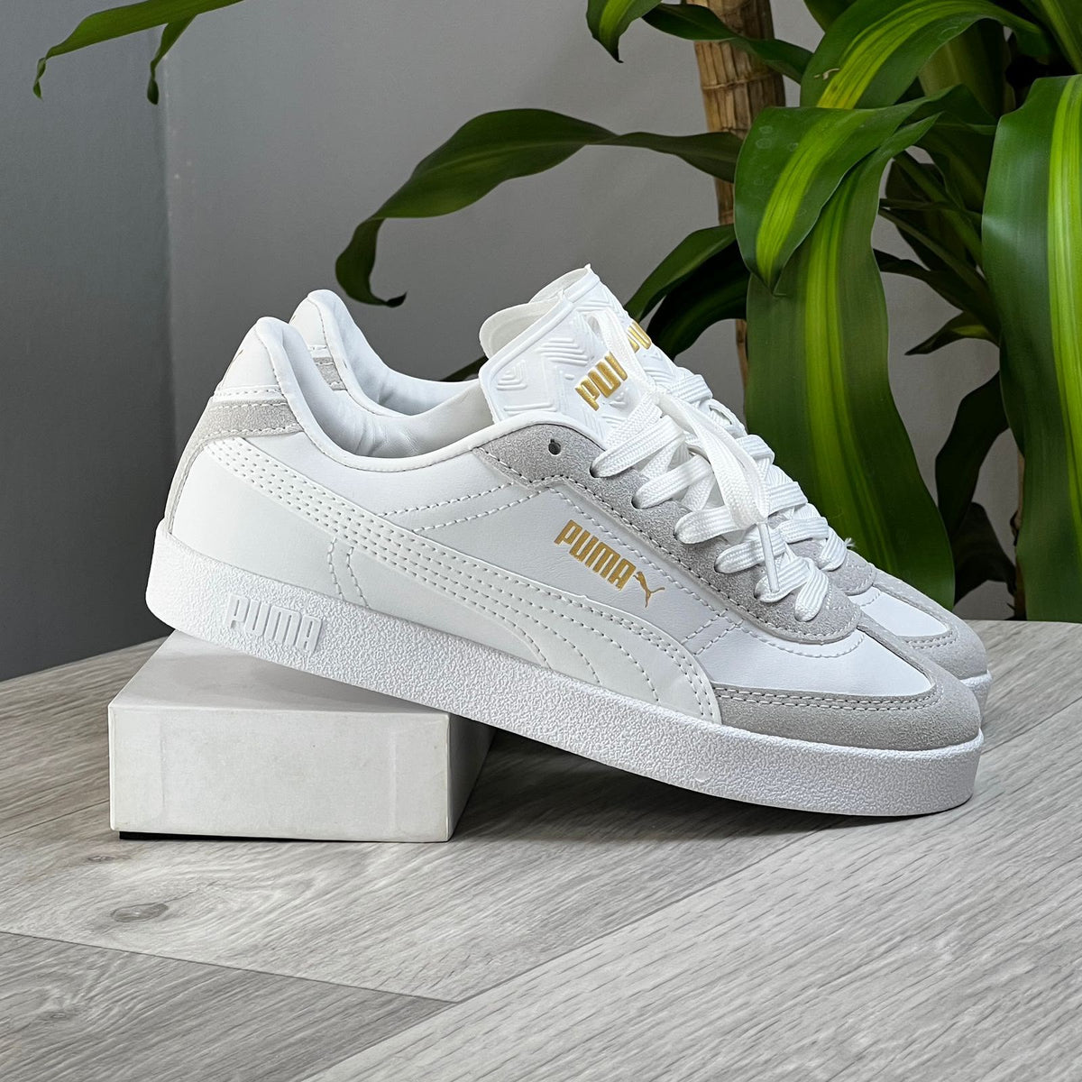 Puma Park