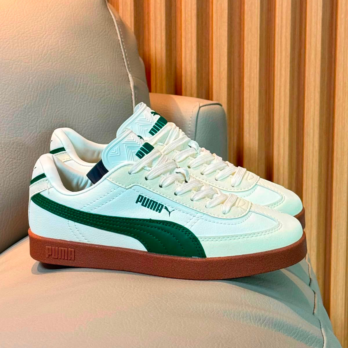 Puma Park